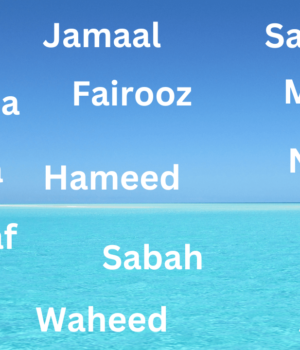Maldives Last Names