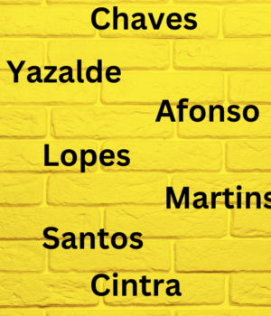 Portuguese Last Names