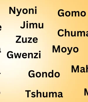Zimbabwe Surnames List